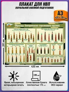 Информационный учебный плакат "Образцы боеприпасов стрелкового оружия" / А3 (42x30 см.)