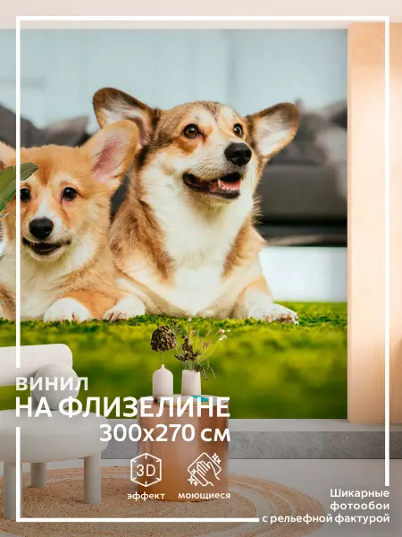 Обоюшкины Фотообои Собаки в детскую в спальню на кухню 300х270