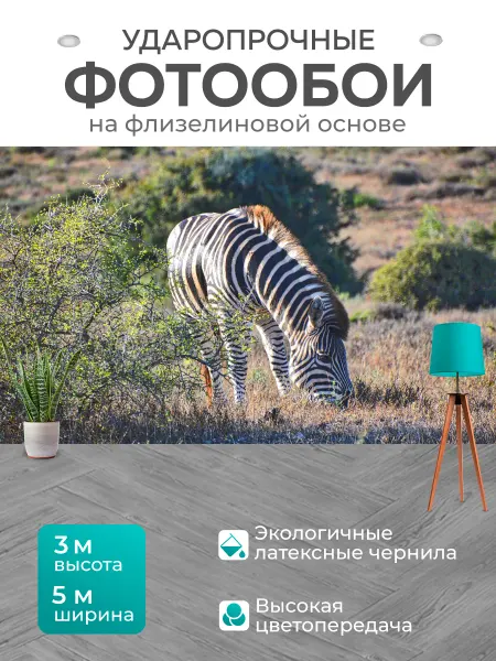 LotsPrints Фотообои "Животное, выпас, млекопитающее" 5x3м