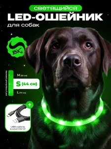 Светящийся USB ошейник для собак, обхват до 44 см, зеленый