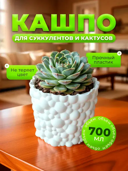 Marsel VS Кашпо горшок для цветов кактуса и суккулентов