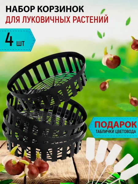 Тимирязевка Корзинка для луковичных 4шт, крепкий пластик, D30см