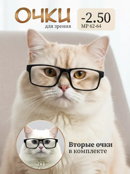 Салон Оптики Очки для зрения -2.50 готовые