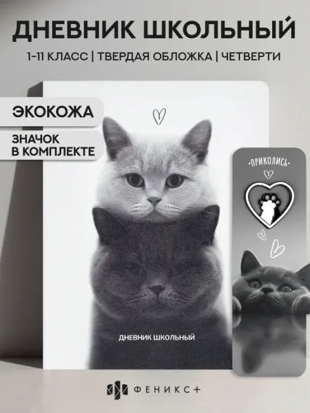Феникс+ Дневник школьный 1 - 11 класс 48 л твердая обл +значок