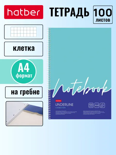 Hatber Тетрадь А4 в клетку 100 листов