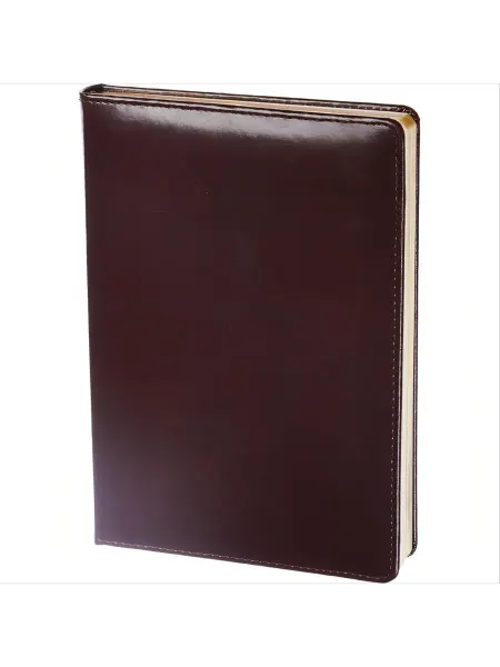 INFOLIO Ежедневник недатированный бордо, 140х200, 160л
