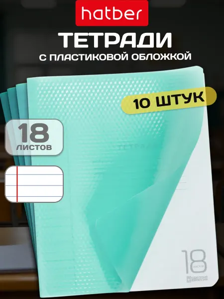 Hatber Тетрадь в линейку 18 листов А5 пластиковая обложка 10 шт