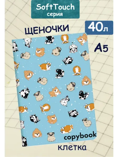 Brauberg Тетрадь общая, школьная, для записей 40 листов в клетку А5