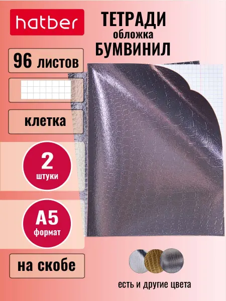 Hatber Тетрадь 2 штуки 96 листов А5 клетка Бумвинил