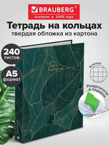 Brauberg Тетрадь на кольцах со сменным блоком и разделителями А5