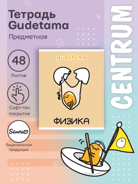 Centrum Тетрадь предметная Физика Gudetamaклетка 48 л