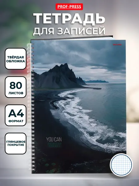 Prof-Press Тетрадь А4 твердая обложка
