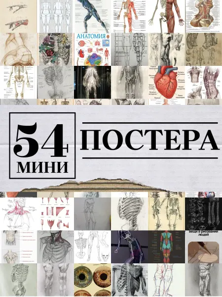 1-й Стикер Минипостеры 54 шт анатомией