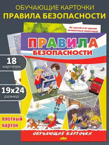 ЛитУр Обучающие карточки "Правила безопасности"
