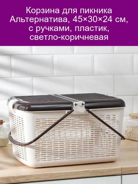 АЛЬТЕРНАТИВА Корзина для пикника 45×30×24 см, пластик