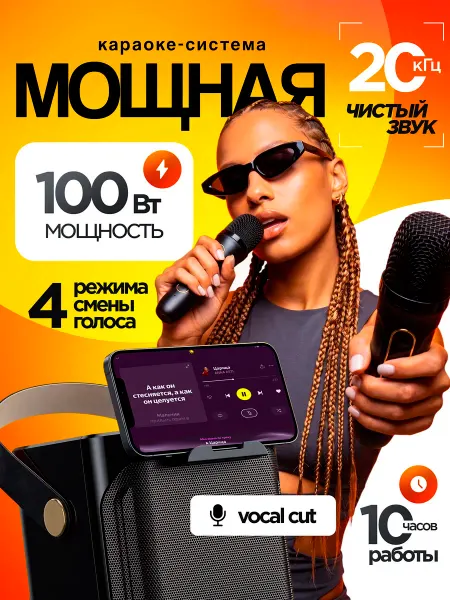 TDSaiwo Колонка караоке система с двумя беспроводными микрофонами