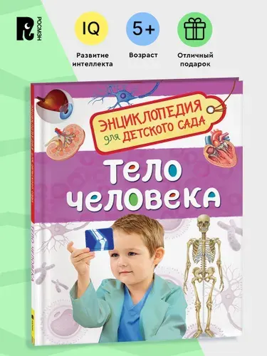 Тело человека. Энциклопедия для детского сада. Познавательные факты о здоровье и анатомии для детей от 4-5 лет | Клюшник Лариса Владимировна