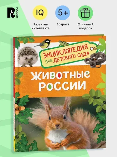 Животные России. Энциклопедия для детского сада. Познавательные факты для детей от 4-5 лет Медведи Волки Олени Дикие кошки Птицы | Травина Ирина Владимировна