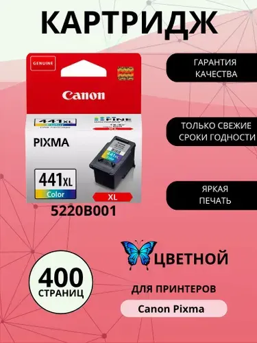 Картридж CANON CL-441XL, цветной (Colour), оригинальный, увеличенный, для струйного принтера (5220B001)
