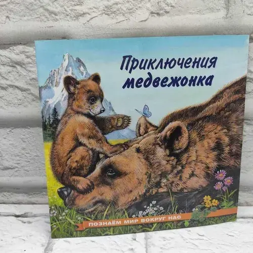 Приключения медвежонка | Гурина Ирина Валерьевна | Книга б/у