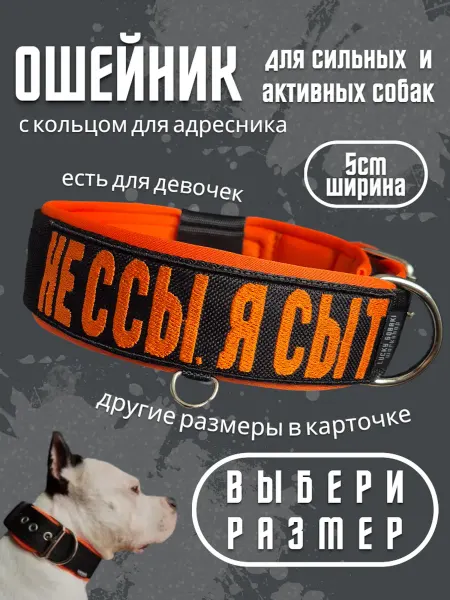 Ошейник с вышивкой "Не ссы я сыт", ширина 5см