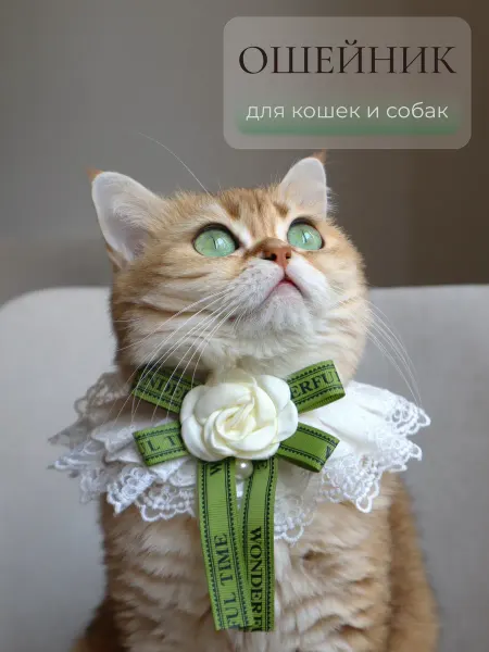 ARR Кружевной ошейник с цветком и бантом для кошек и собак, зеле…