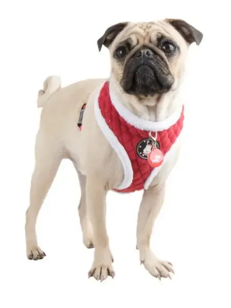 PUPPIA Шлейка утепленная "Blitzen-A", красная, S