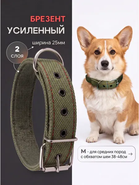 CERBERUS Ошейник брезентовый для мелких и средних пород усиленный