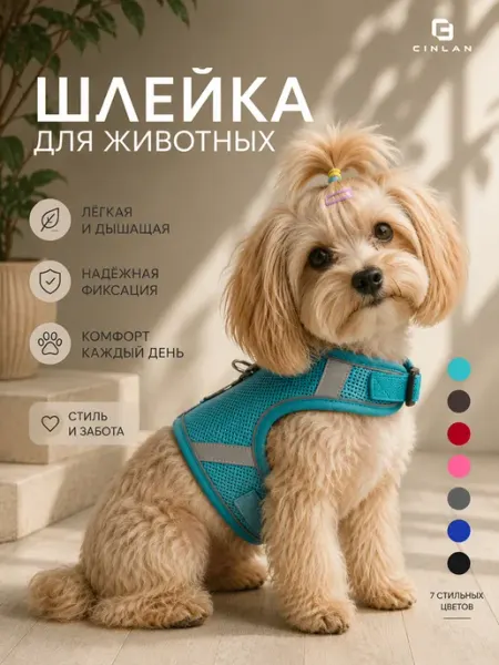 CINLAN Шлейка для кошек с поводком антипобег, шлейка для собак