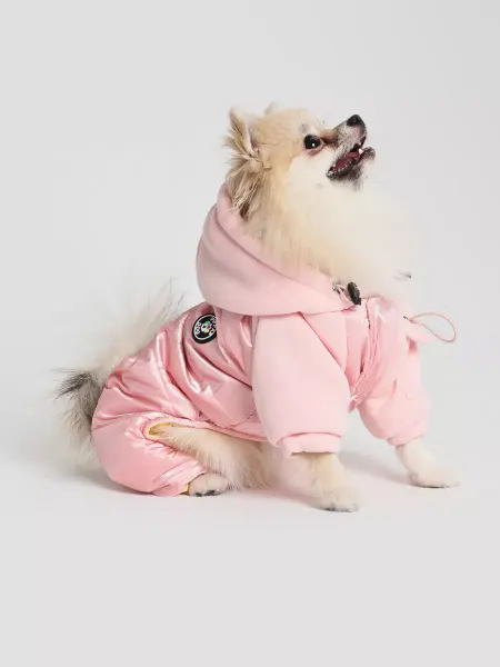 PIFPAF DOG Комбинезон для собак мелких и средних пород