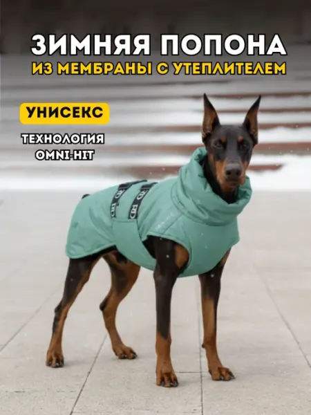 Rain Dog Попона жилет зимний для собак из мембраны ментол