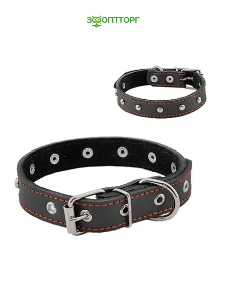 HomePet Ошейник для собак кожаный с украшениями 32-42 см
