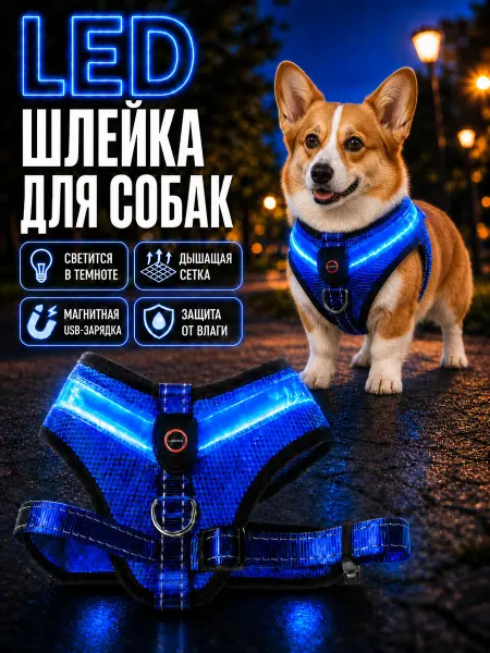 Шлейка для собак мелких пород LED синяя, размер S