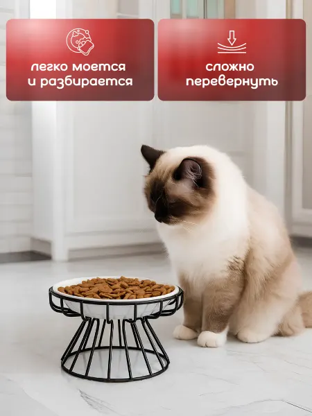 Misa Миска для кошки керамика на подставке