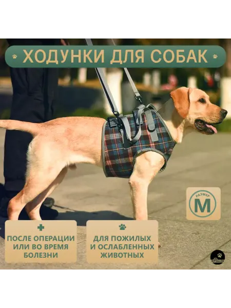 MPSALER Ходунки для собак. Передняя часть, размер S