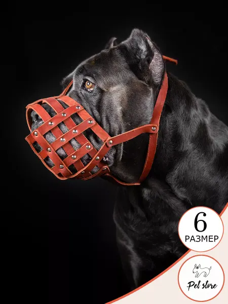 Pet Store Намордник для животных кожаный