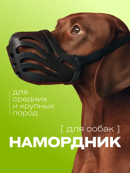 PET Намордник для средних собак силиконовый голубой