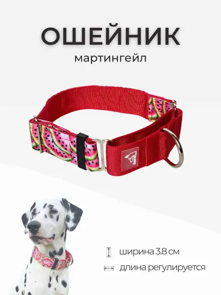 Rafa Petshop Ошейник мартингейл (полуудавка) широкий