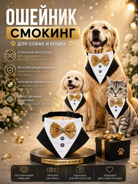 SoAdorable Ошейник смокинг для собак и кошек