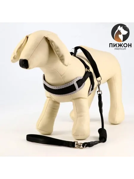 Timzoo Мягкая шлейка с поводком, черная, S, для собак 26-67 см
