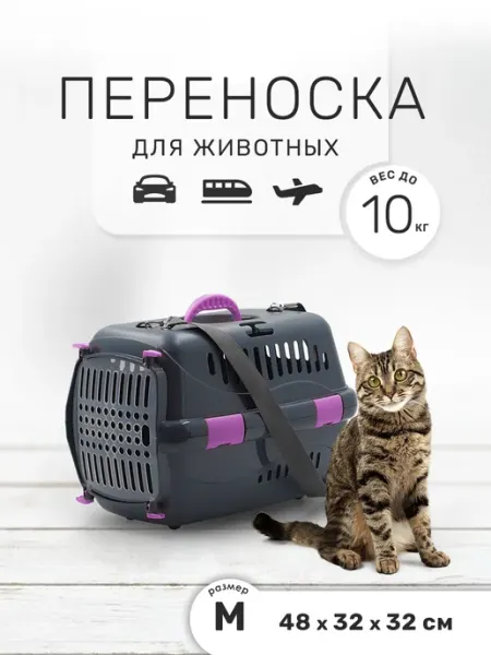 Zooset Пластиковая переноска для кошек, для животных