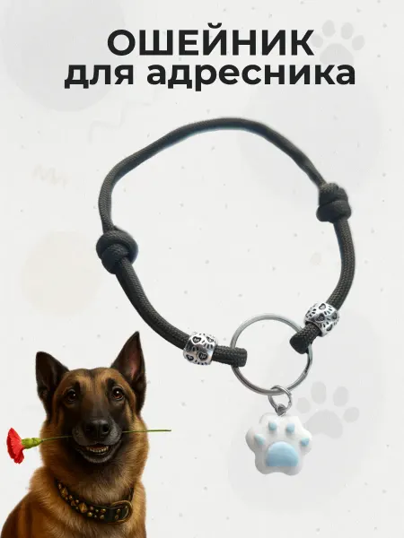 Шнурок для адресника Шнурок (ошейник) для адресника для собак с кулоном