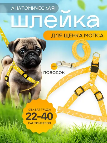 Анатомическая шлейка для щенка мопса с поводком