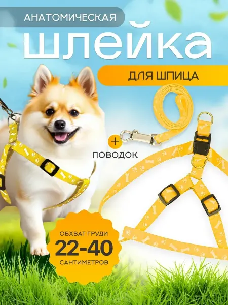 Анатомическая шлейка для шпица с поводком