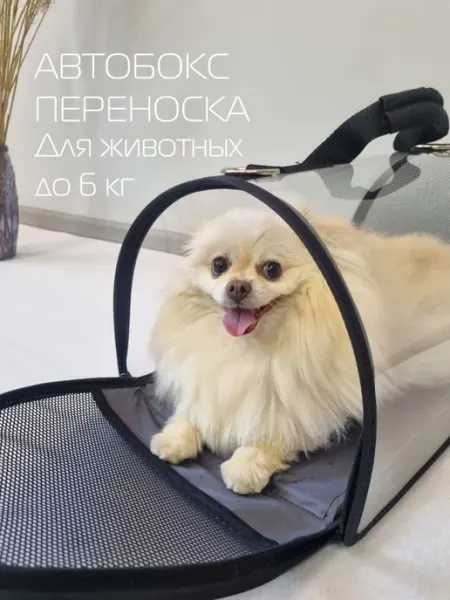 МАТЕX Переноска для животных, для кошек и собак прозрачная