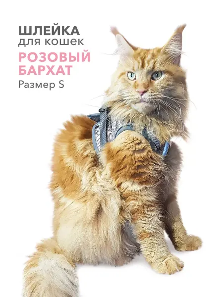 МУРЛЭНД Шлейка-жилет для кошки и собак мелких пород