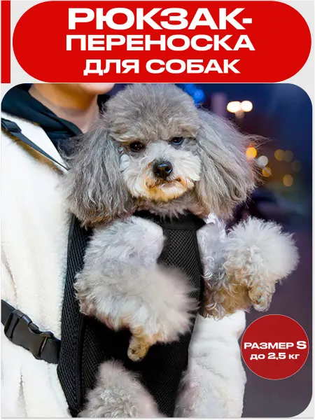 Рюкзак-переноска для кошек и собак S