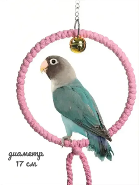 Petedge Качели для попугая