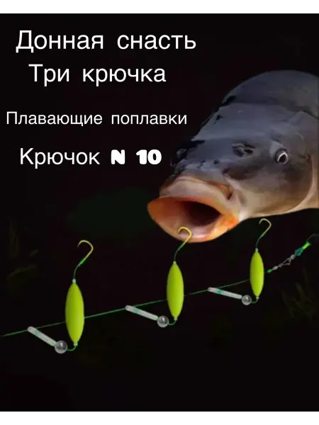 BigDan Донная снасть на карпа, три поплавка, крючок 10