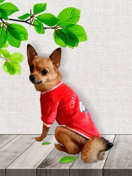 KittyDog Толстовка для собак и кошек мелких или средних пород